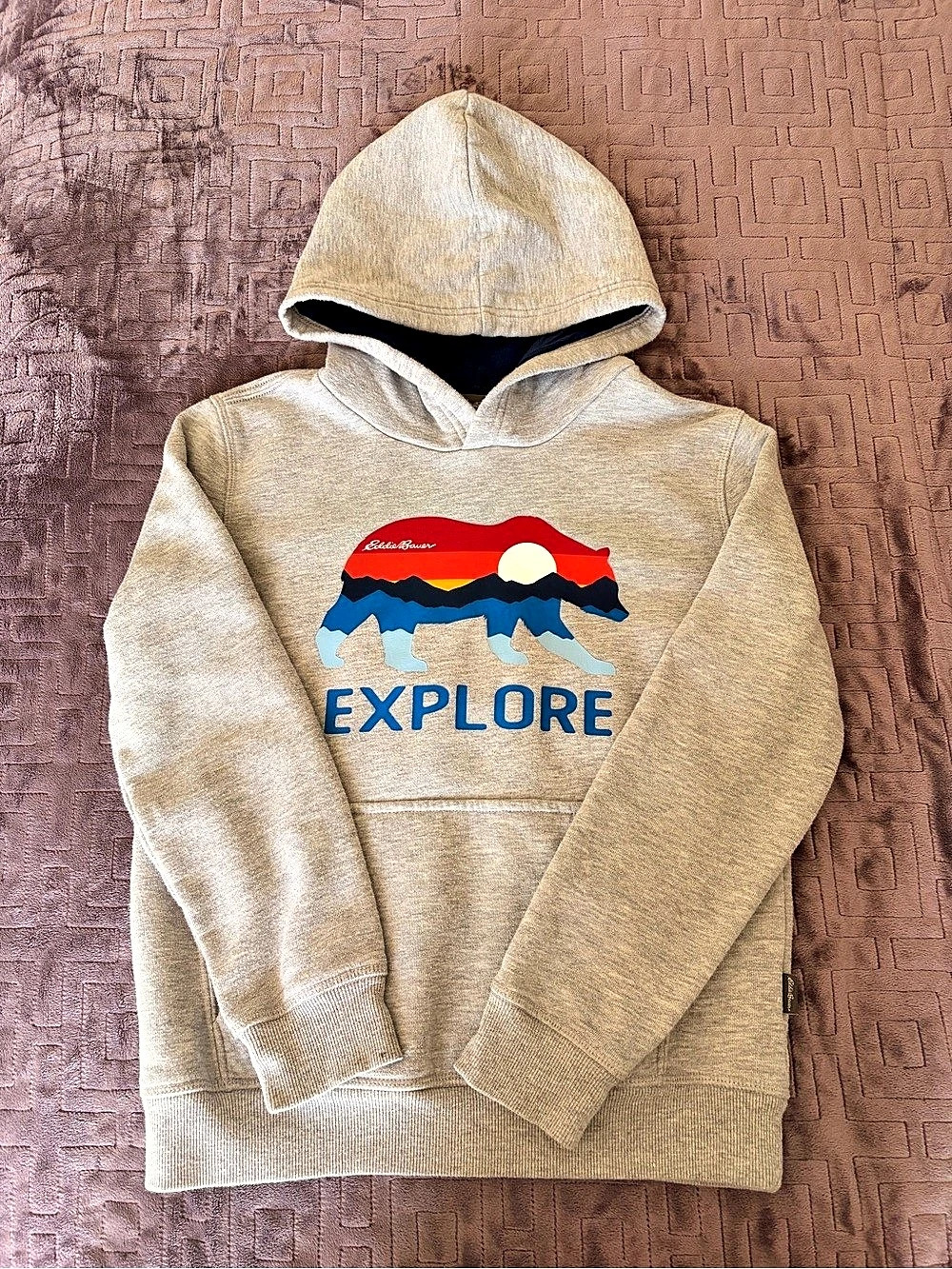 Eddie Bauer Boys Graphic Camp Fleece Hoodie Gray